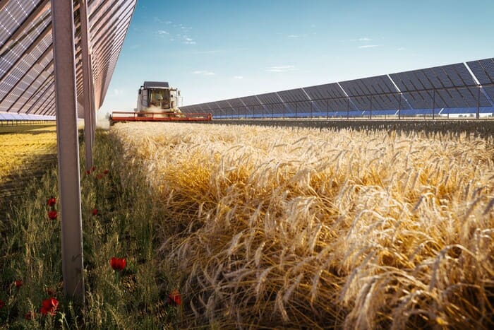 Agrivoltaïsme et stress hydrique